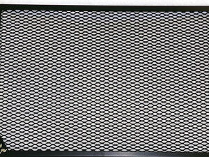 Cox Racing Radiator Guard